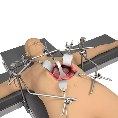 Thompson Retractor